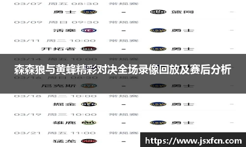 森森狼与黄蜂精彩对决全场录像回放及赛后分析