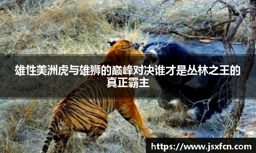 雄性美洲虎与雄狮的巅峰对决谁才是丛林之王的真正霸主